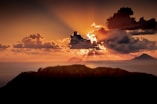 silhouette of trees during sunset