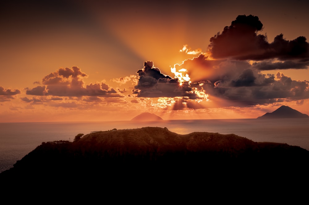 silhouette of trees during sunset