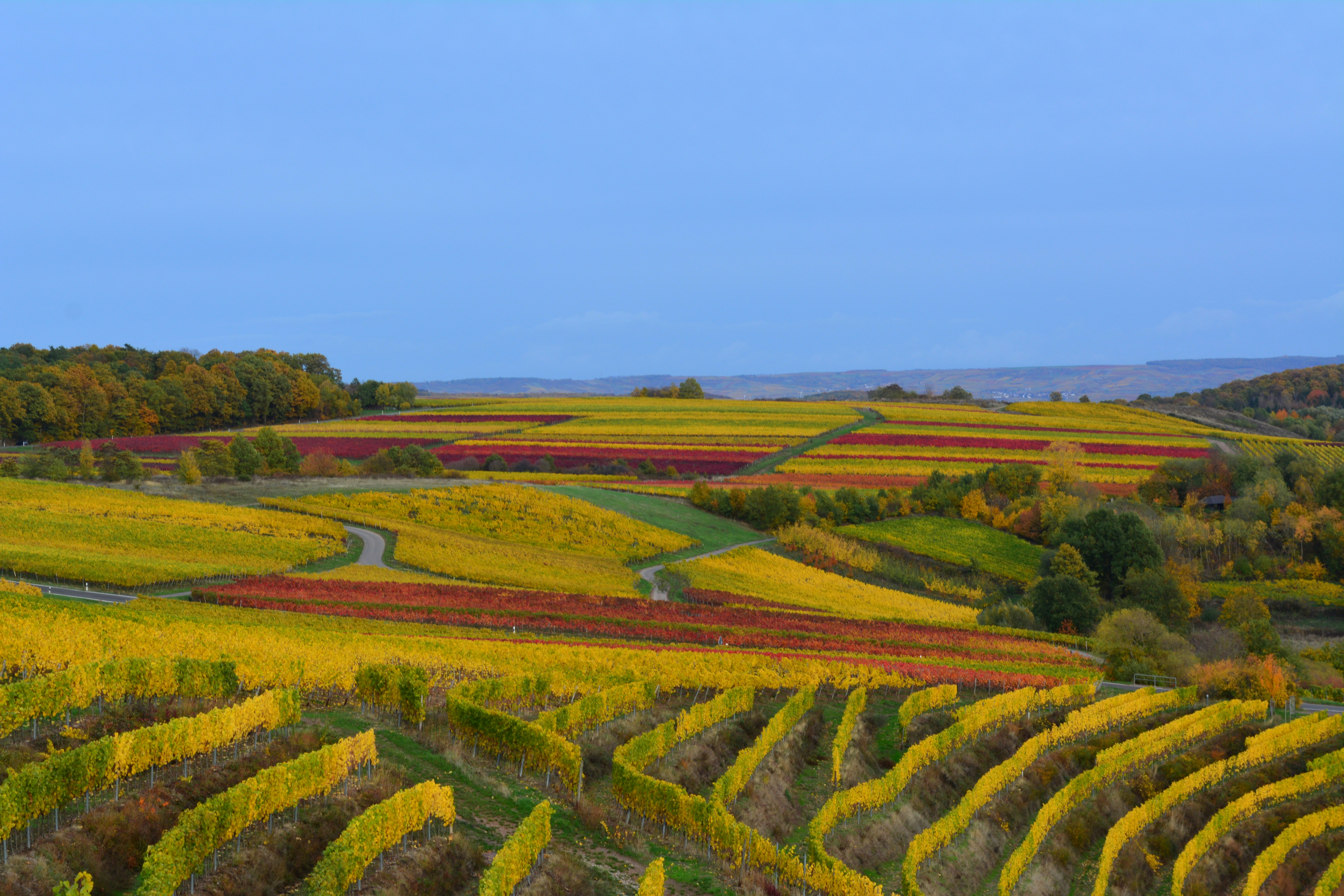 Photo by michael_ender