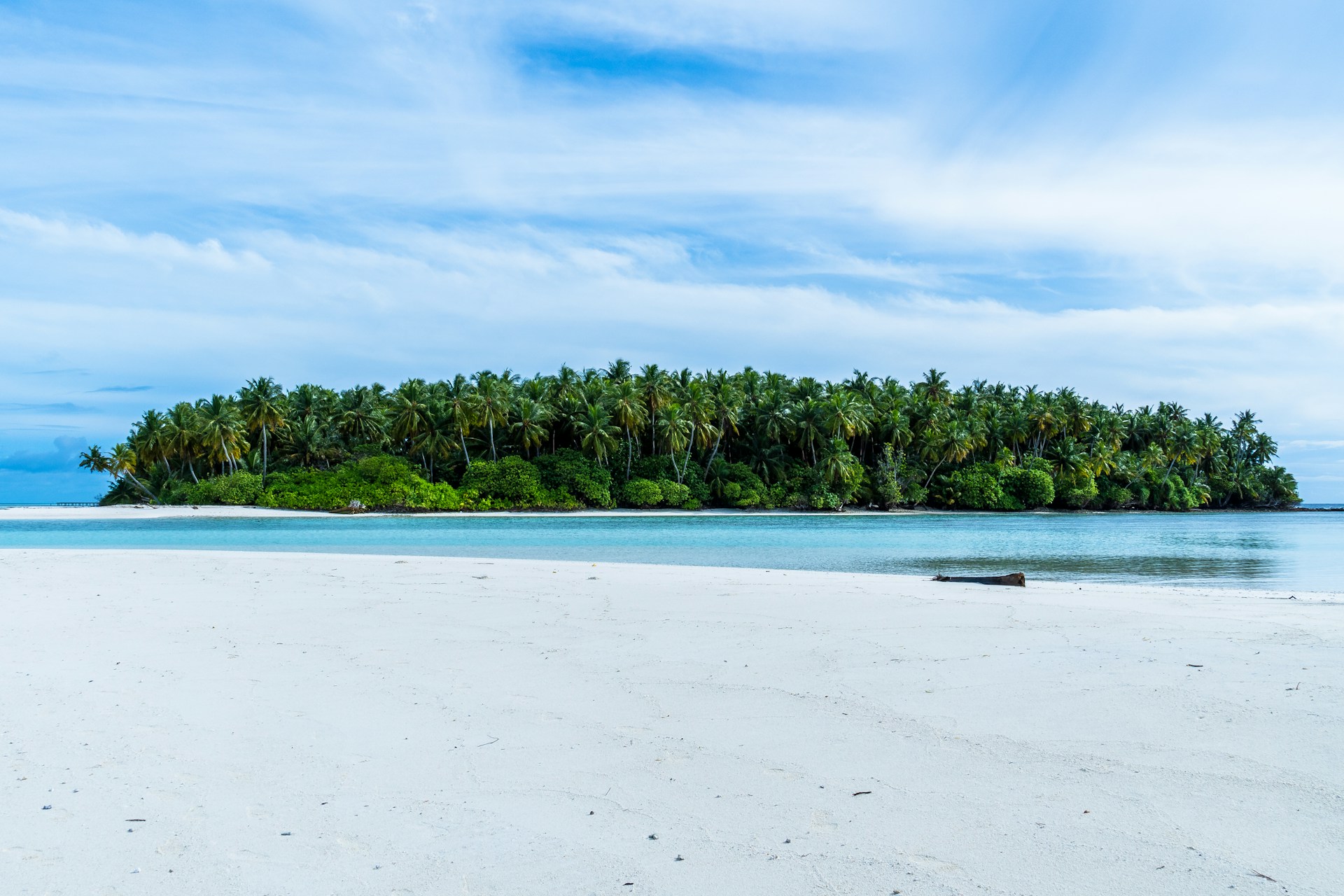 green trees near sea under blue sky during daytime