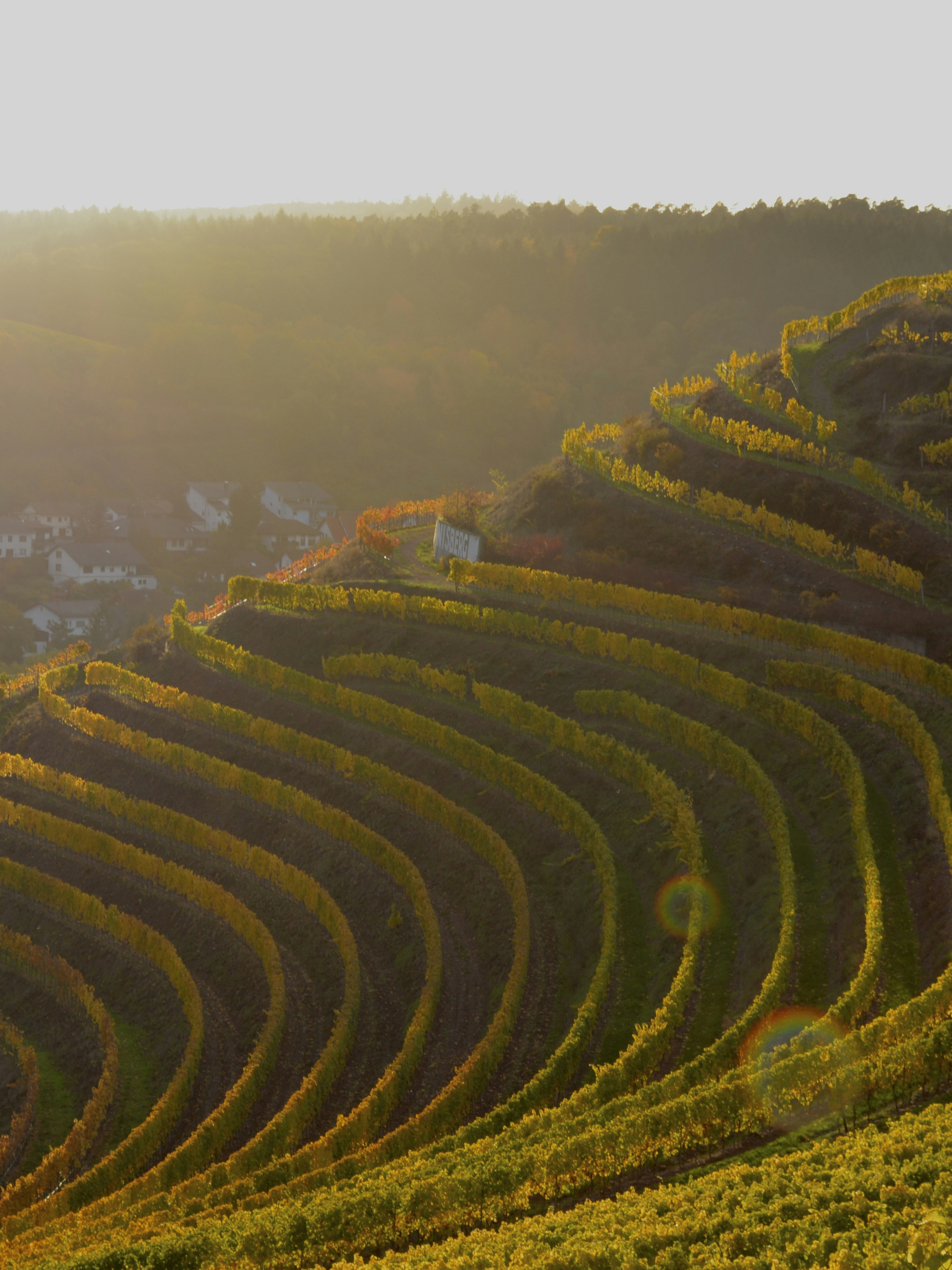 Photo by michael_ender