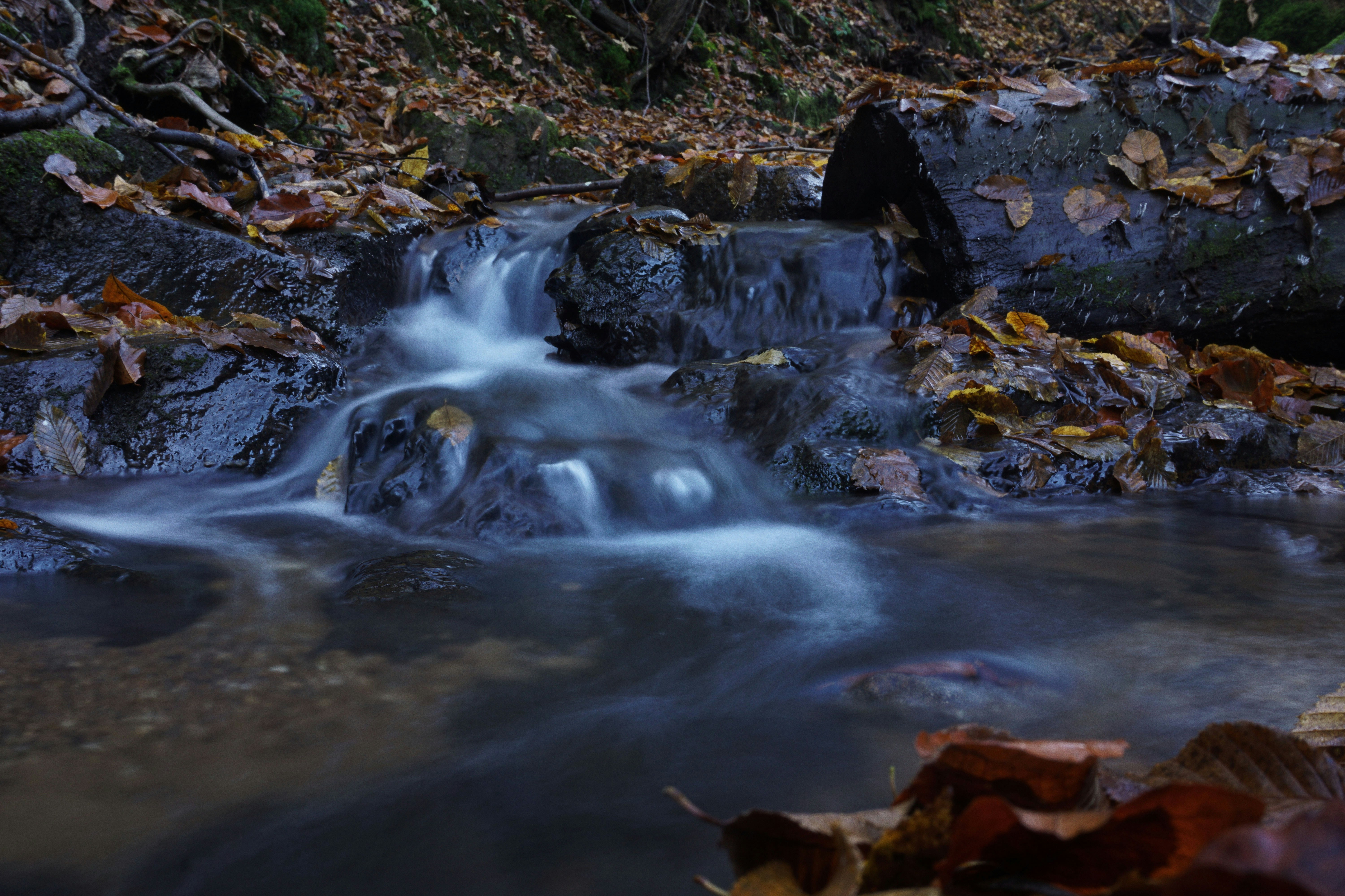 Photo by pongracznoemi