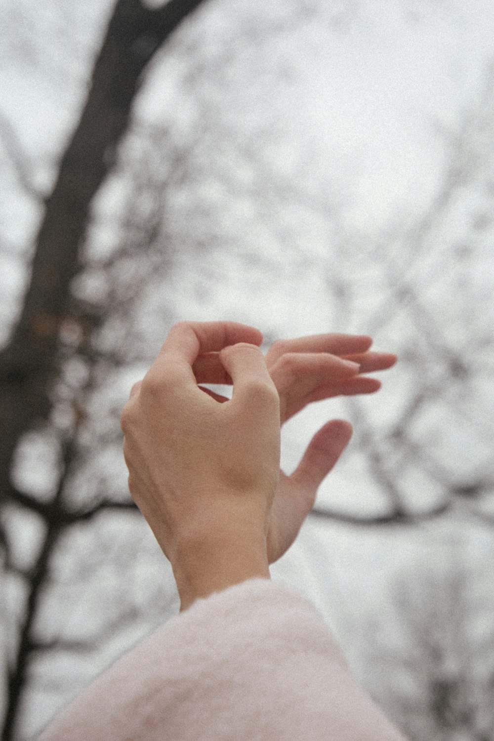 person in white long sleeve shirt showing left hand