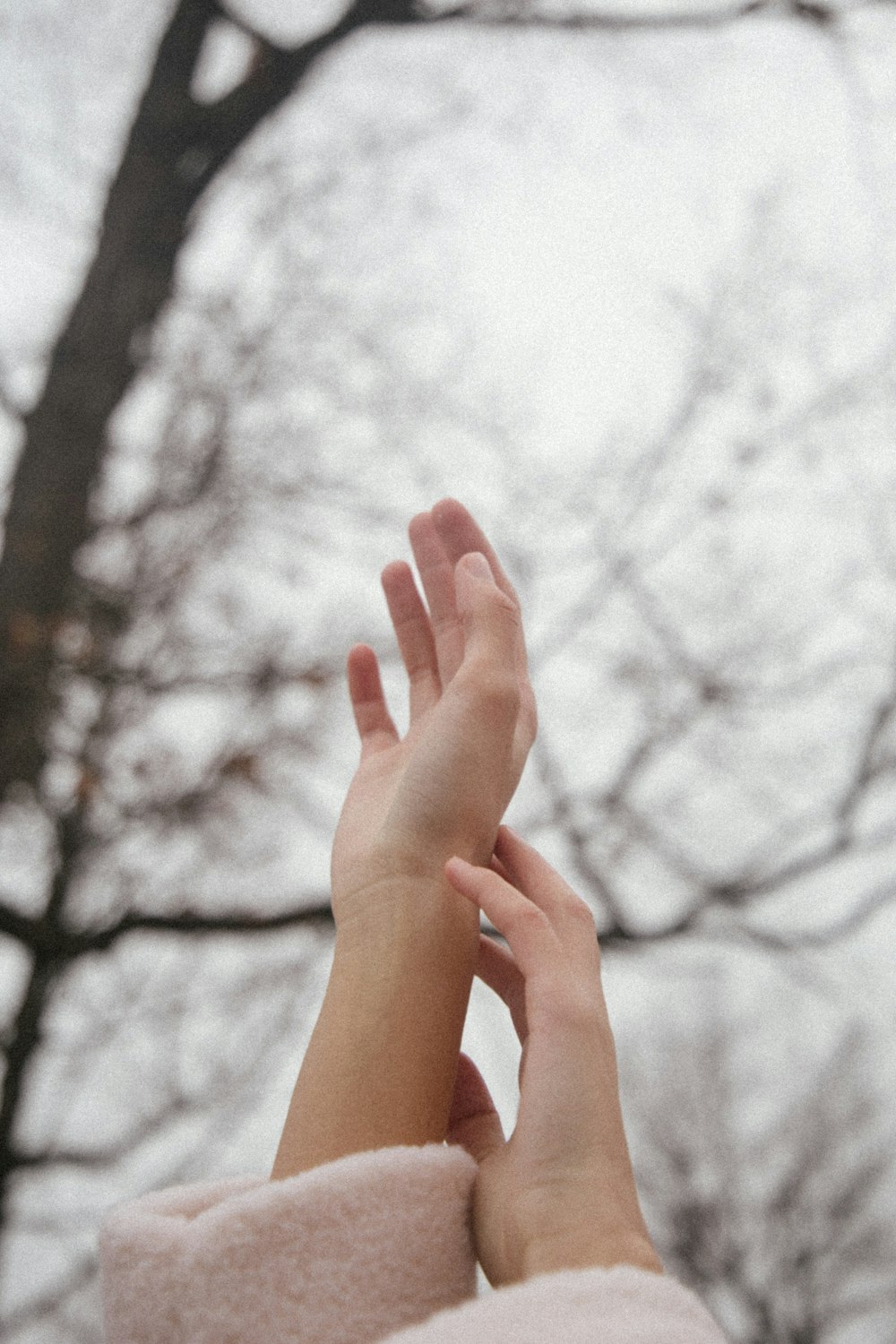 persons hand on forest