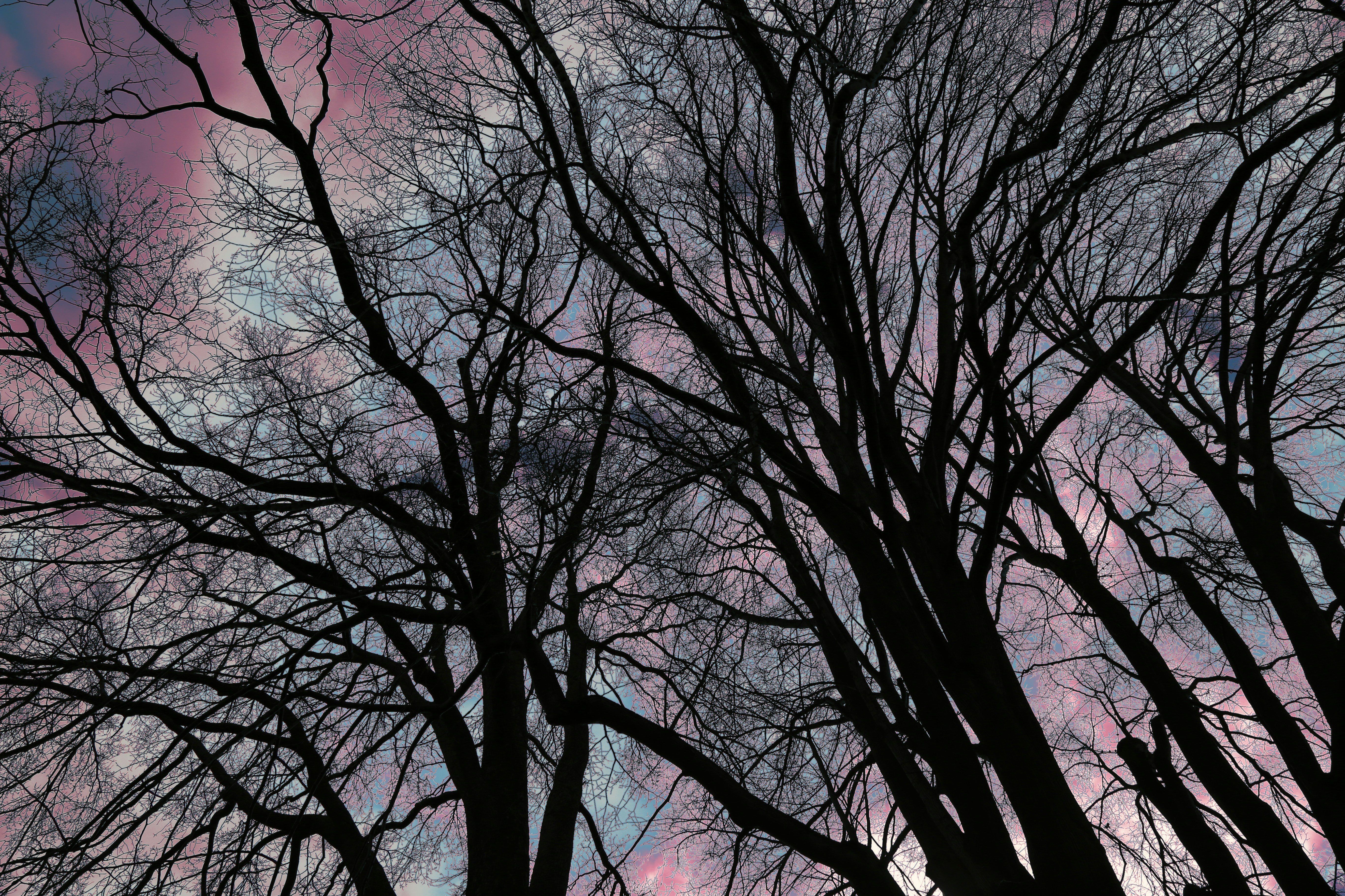 Photo by splashabout