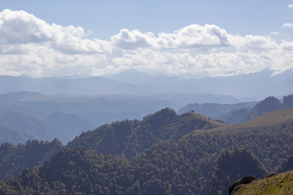 green trees on mountain under white clouds during daytime