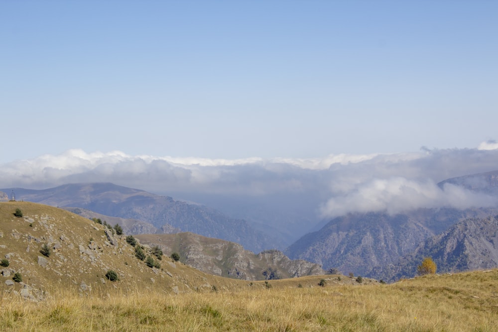 green grass field near mountain under white sky during daytime