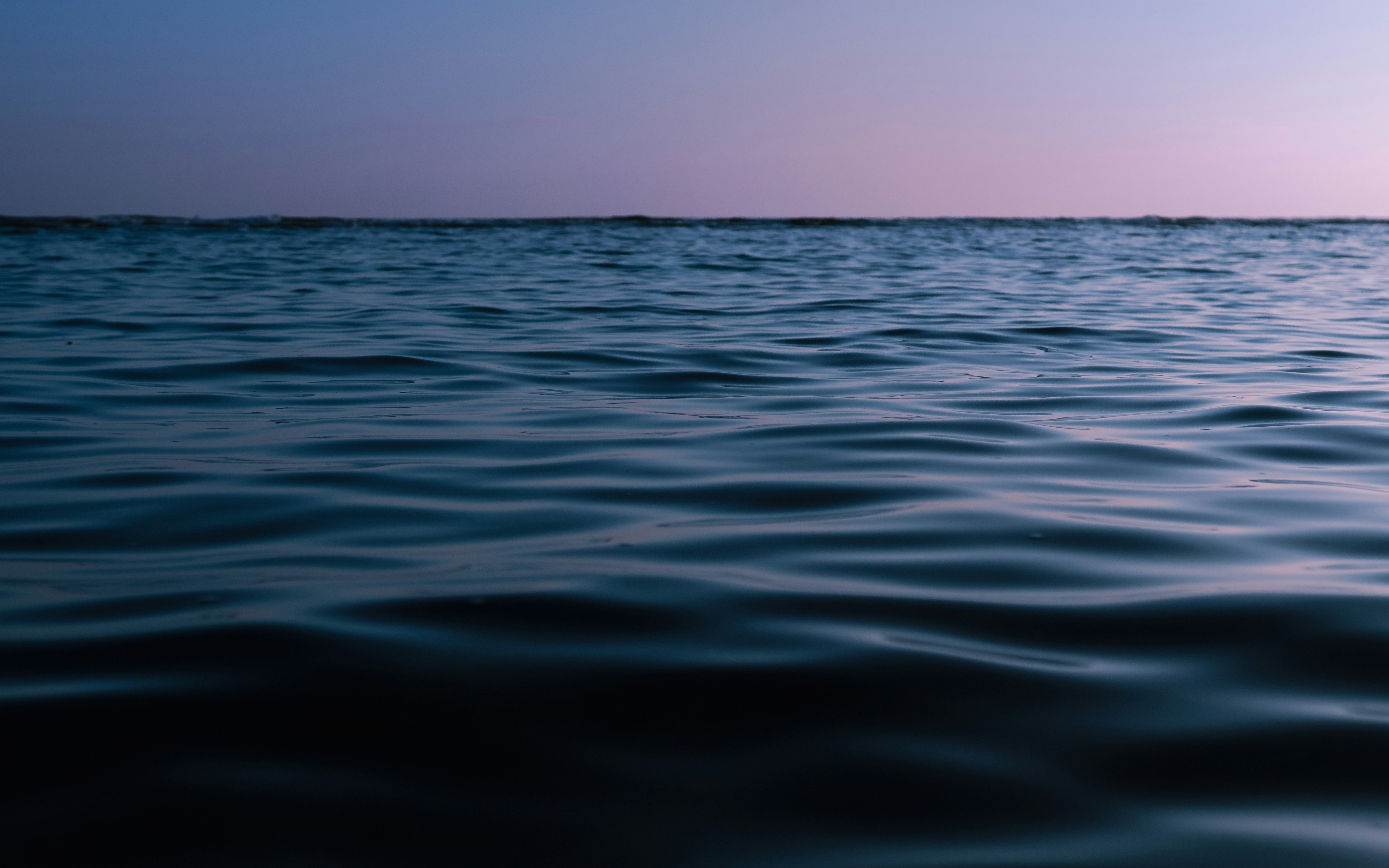 Photo by davidramr96