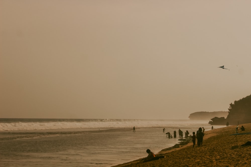 personnes sur la plage pendant la journée