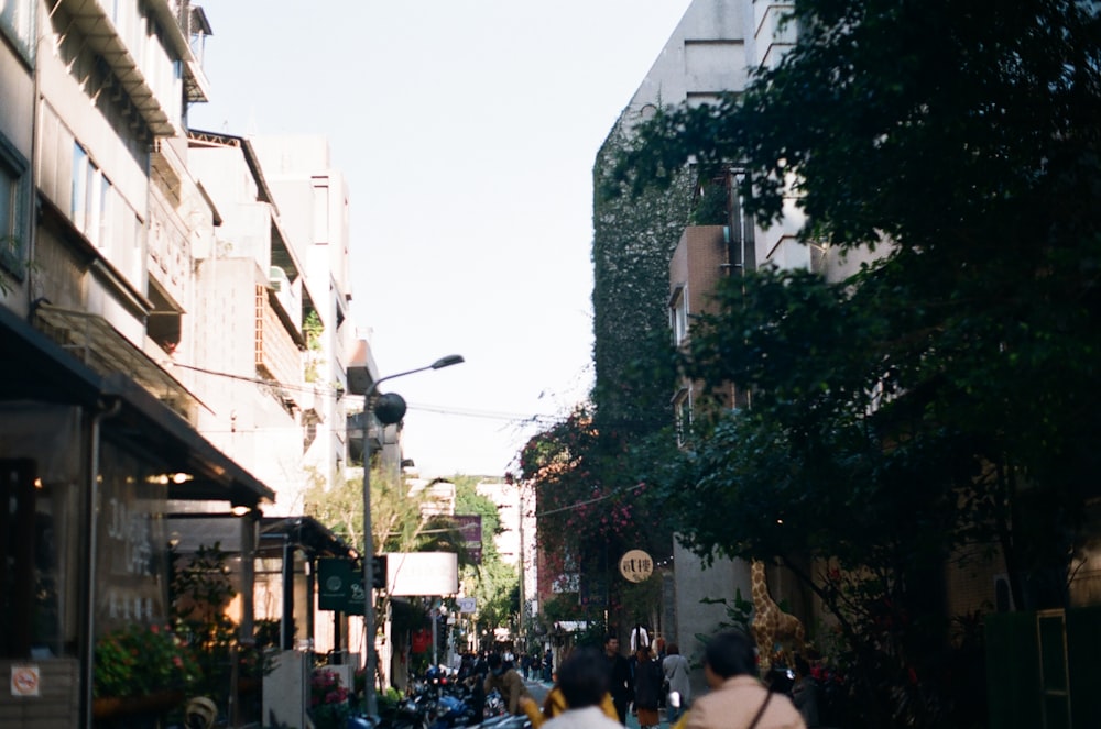 people walking on street during daytime