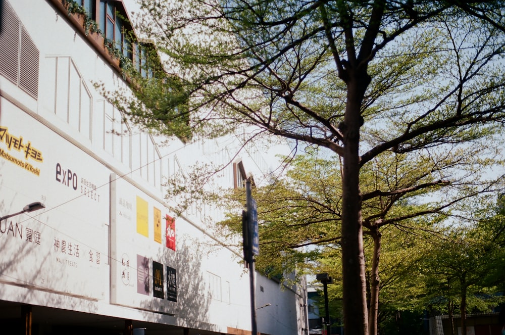 white concrete building near green trees during daytime