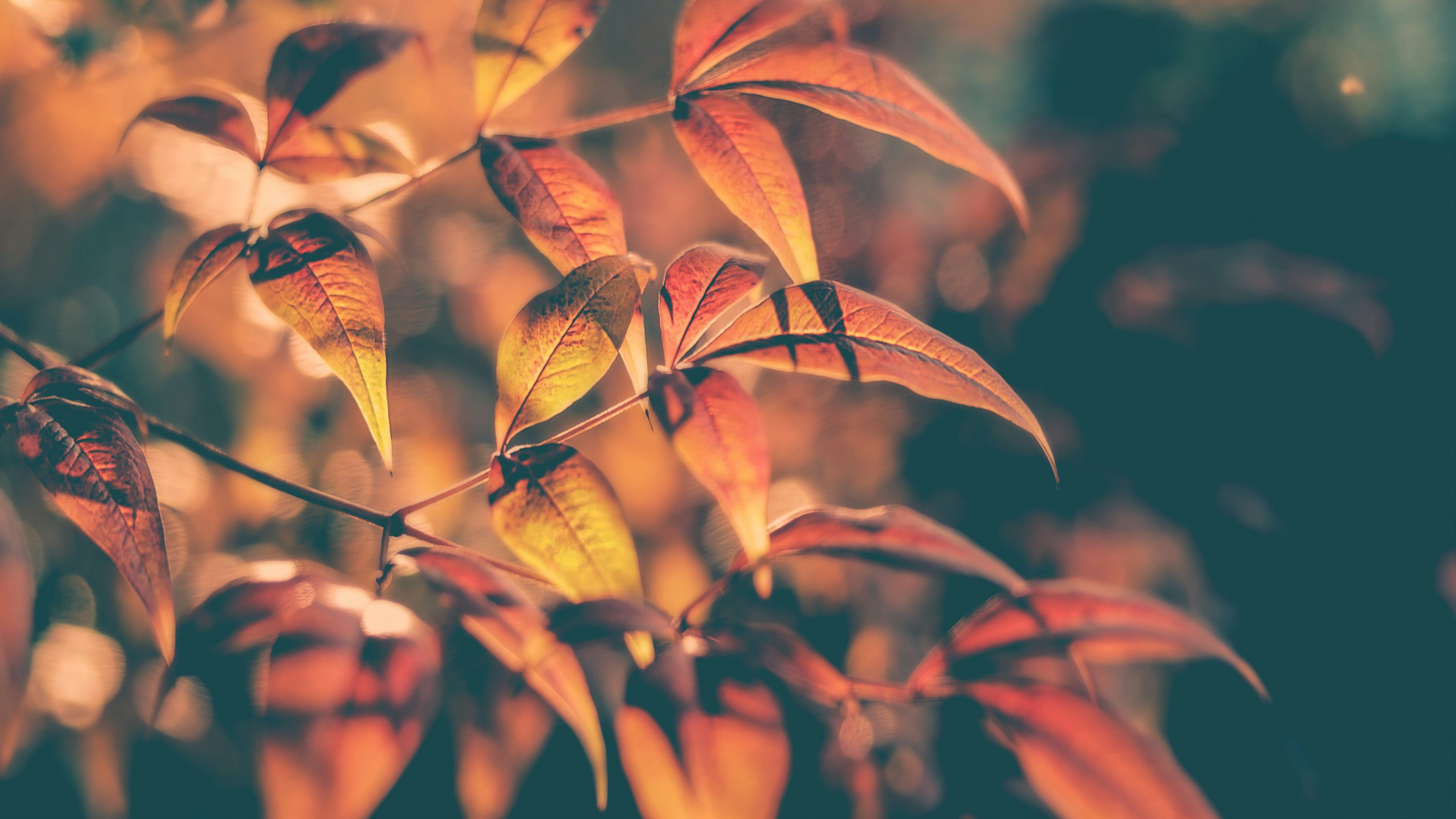 Photo by rethinktwice