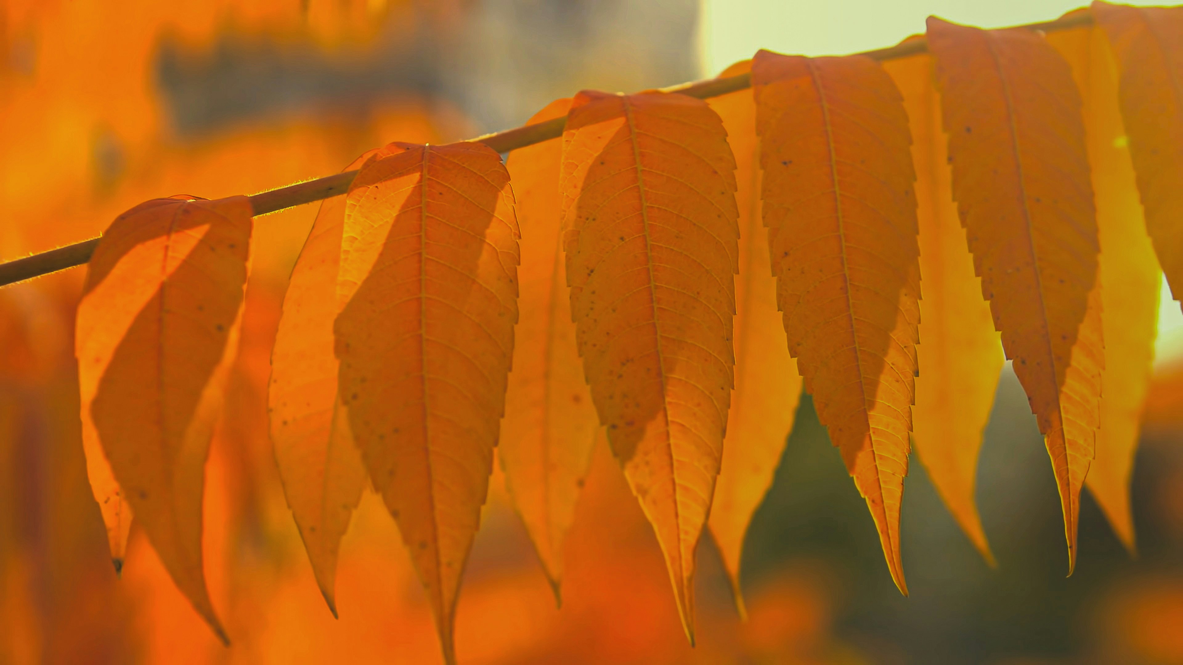 Photo by rethinktwice