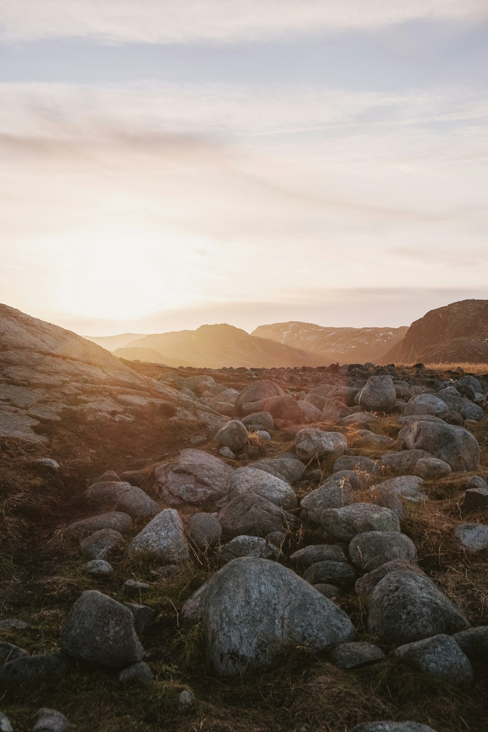 gray rocks on brown field during daytime