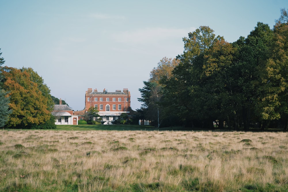 brown and white house surrounded by green trees under blue sky during daytime