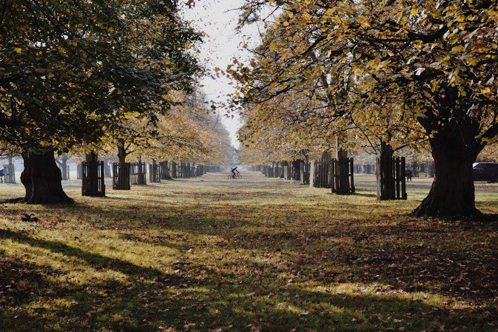 green grass field with trees