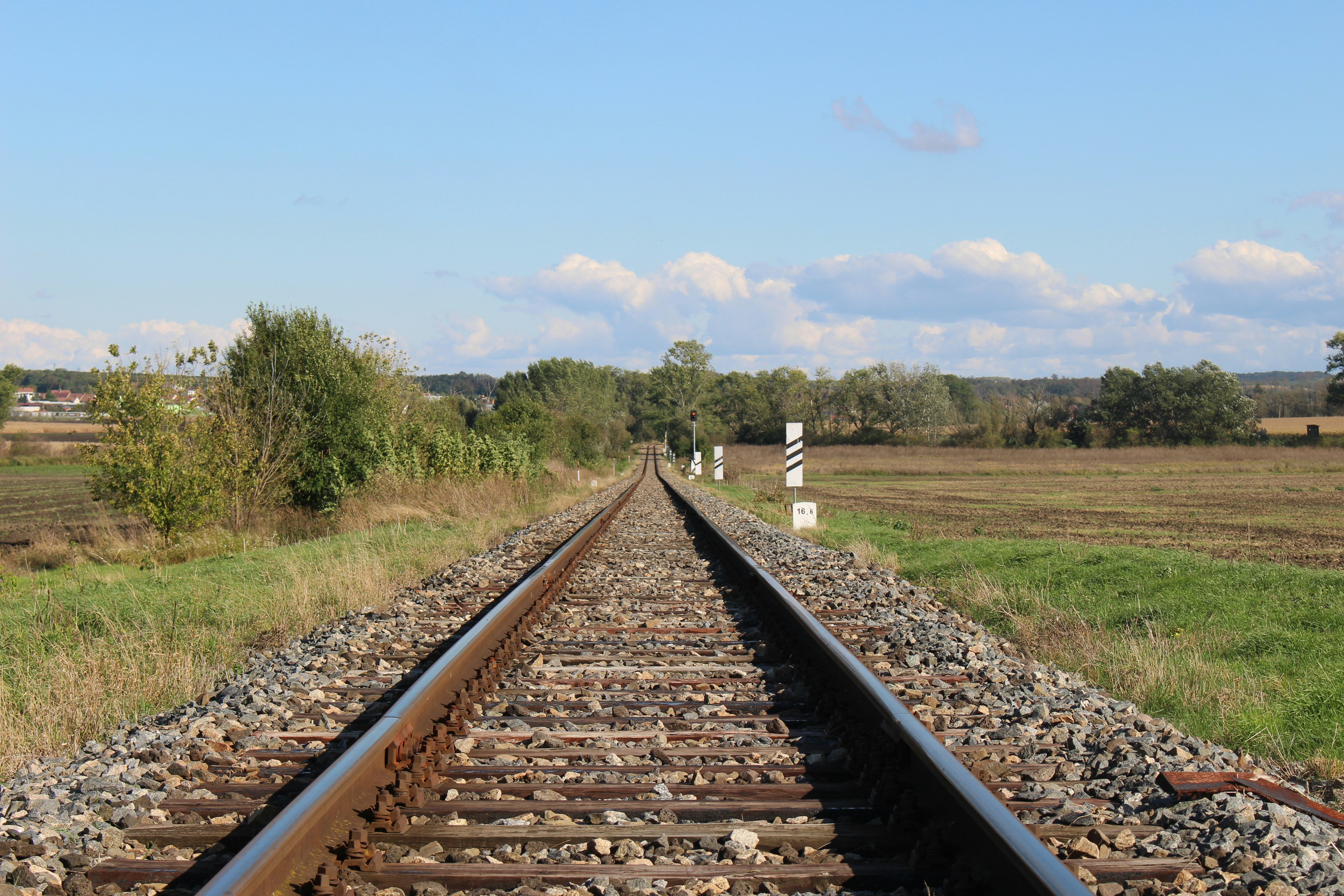 Photo by marjorylucabaxter