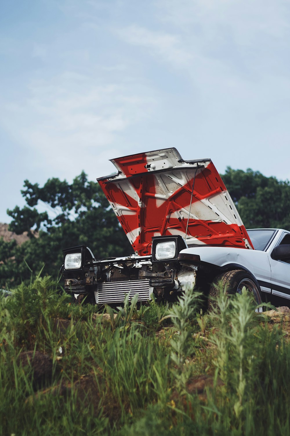 red and white truck on green grass field during daytime