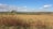 A vast agricultural field stretches out under a clear blue sky, dotted with fluffy white clouds. The foreground features a hedge with red berries and corn plants. In the distance, a small village sits amidst rolling green hills.
