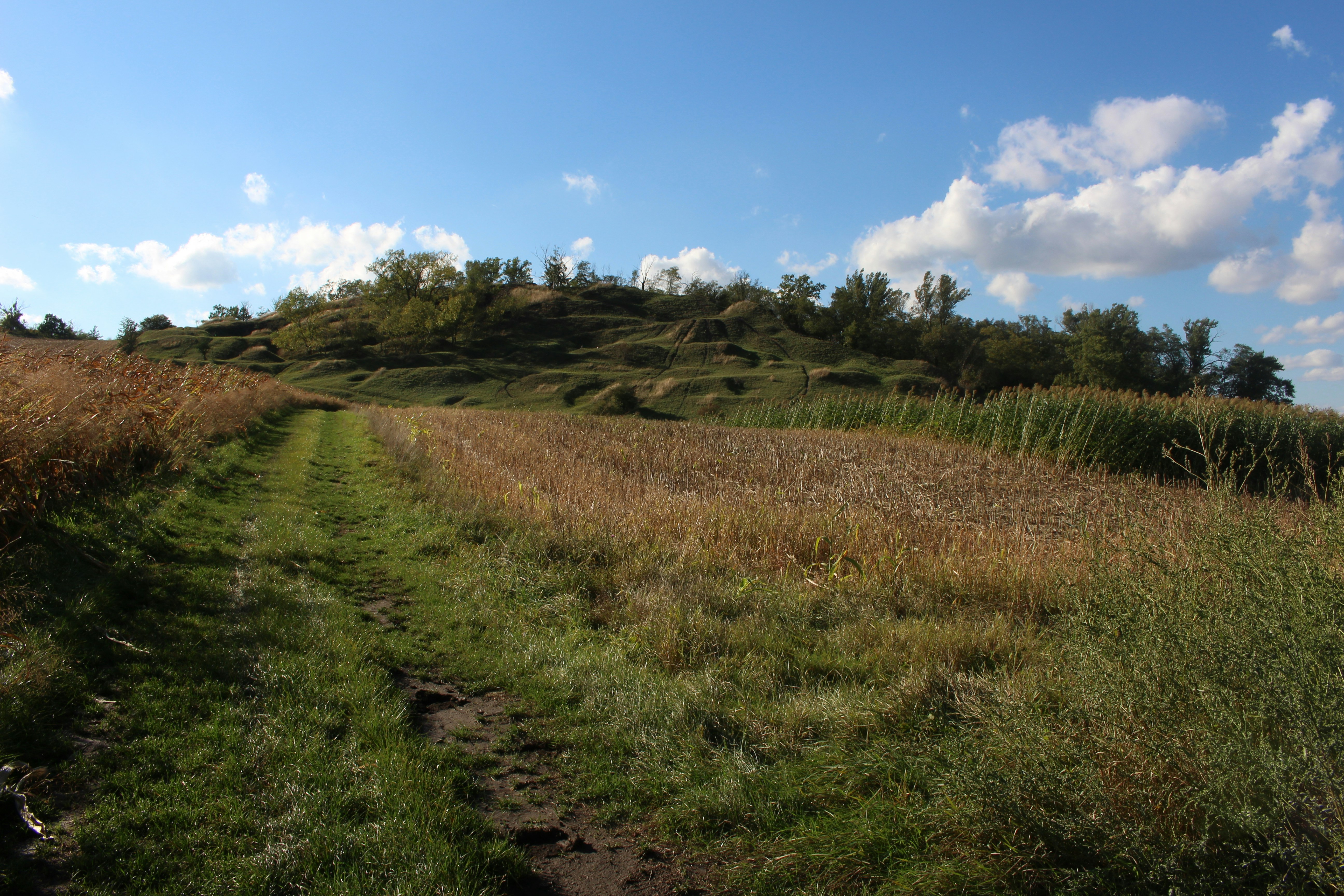 Photo by marjorylucabaxter