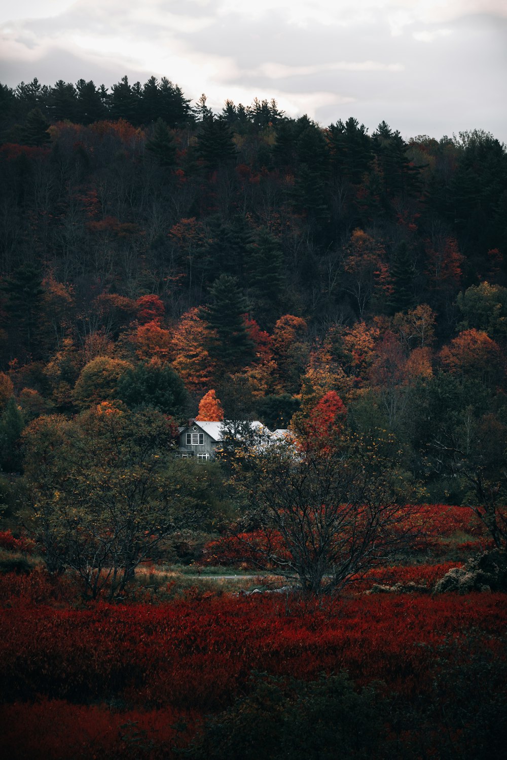 casa branca e marrom perto de árvores durante o dia