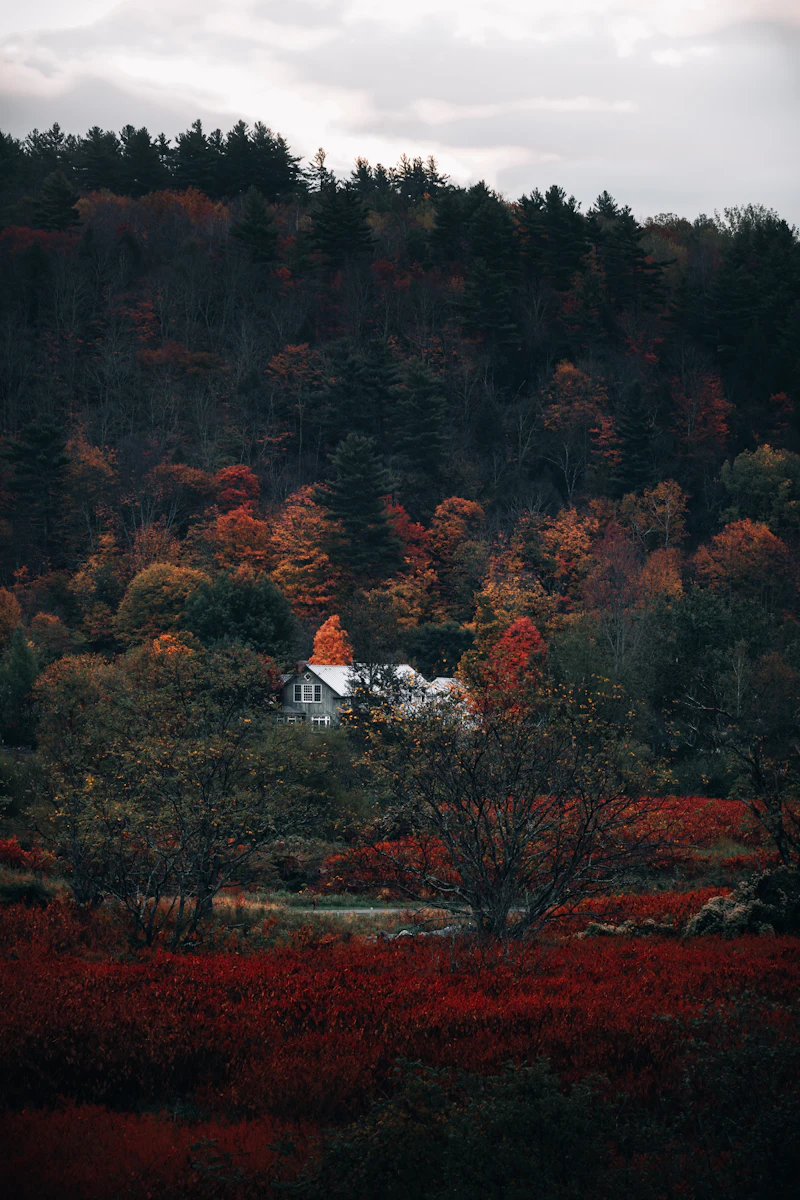 A house set among wooded hills in New England autumn foliage