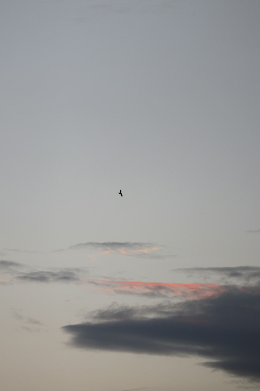 uccello che vola sotto le nuvole bianche durante il giorno