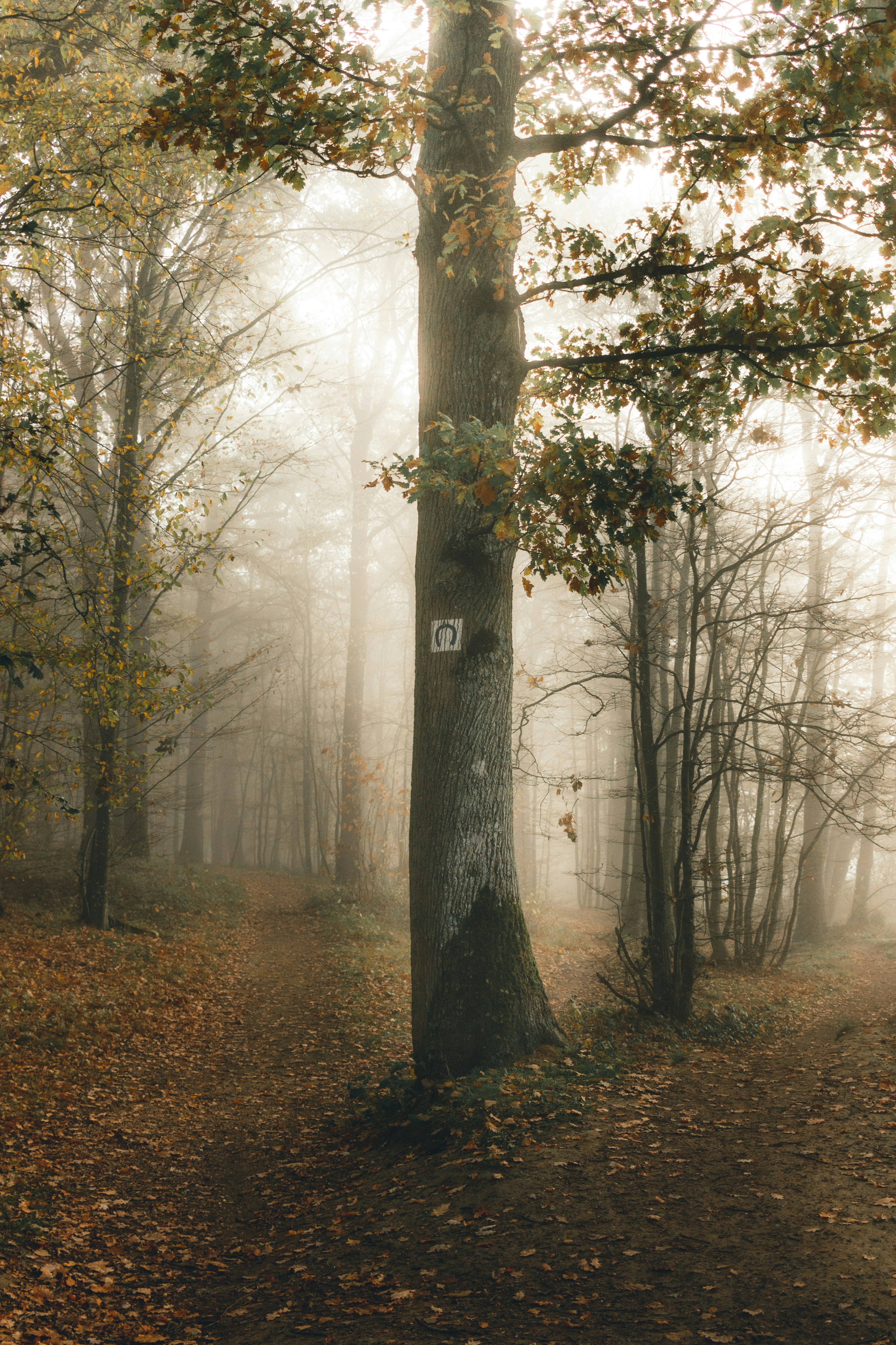 Photo by matreding