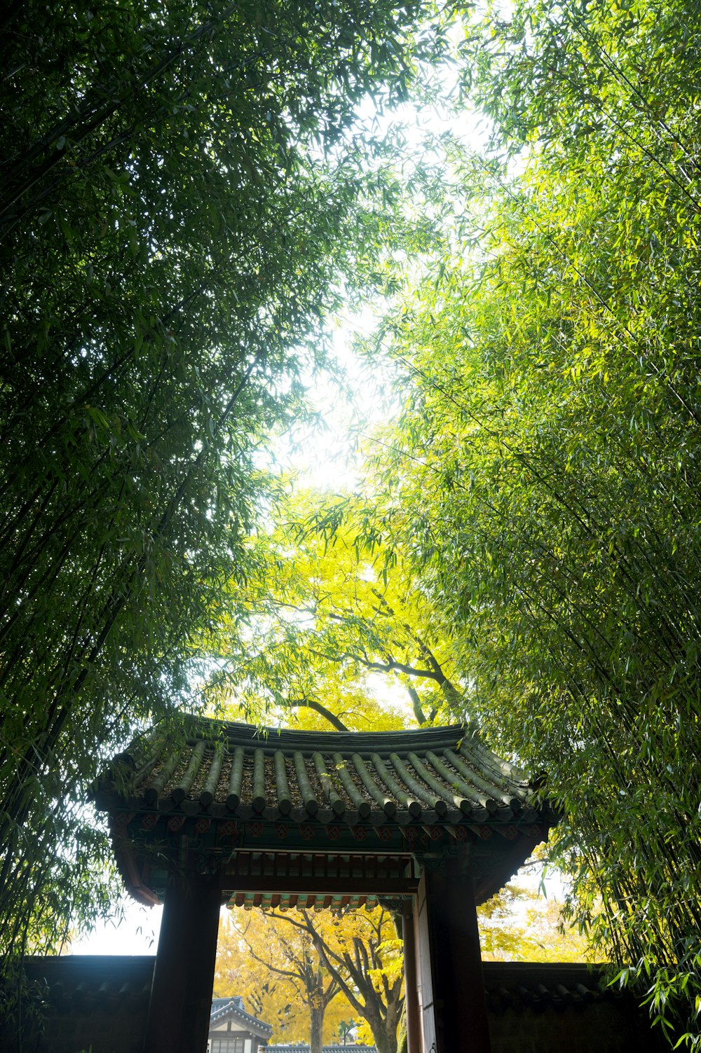 brown wooden house in the middle of green trees