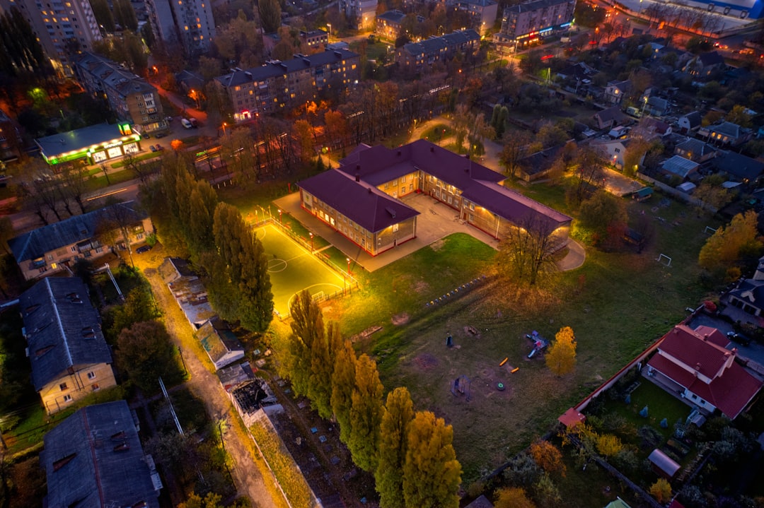 aerial view of green trees and houses during night time