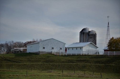 An outdoor view of a turnkey breeder farm installation including silos and feeding machines.