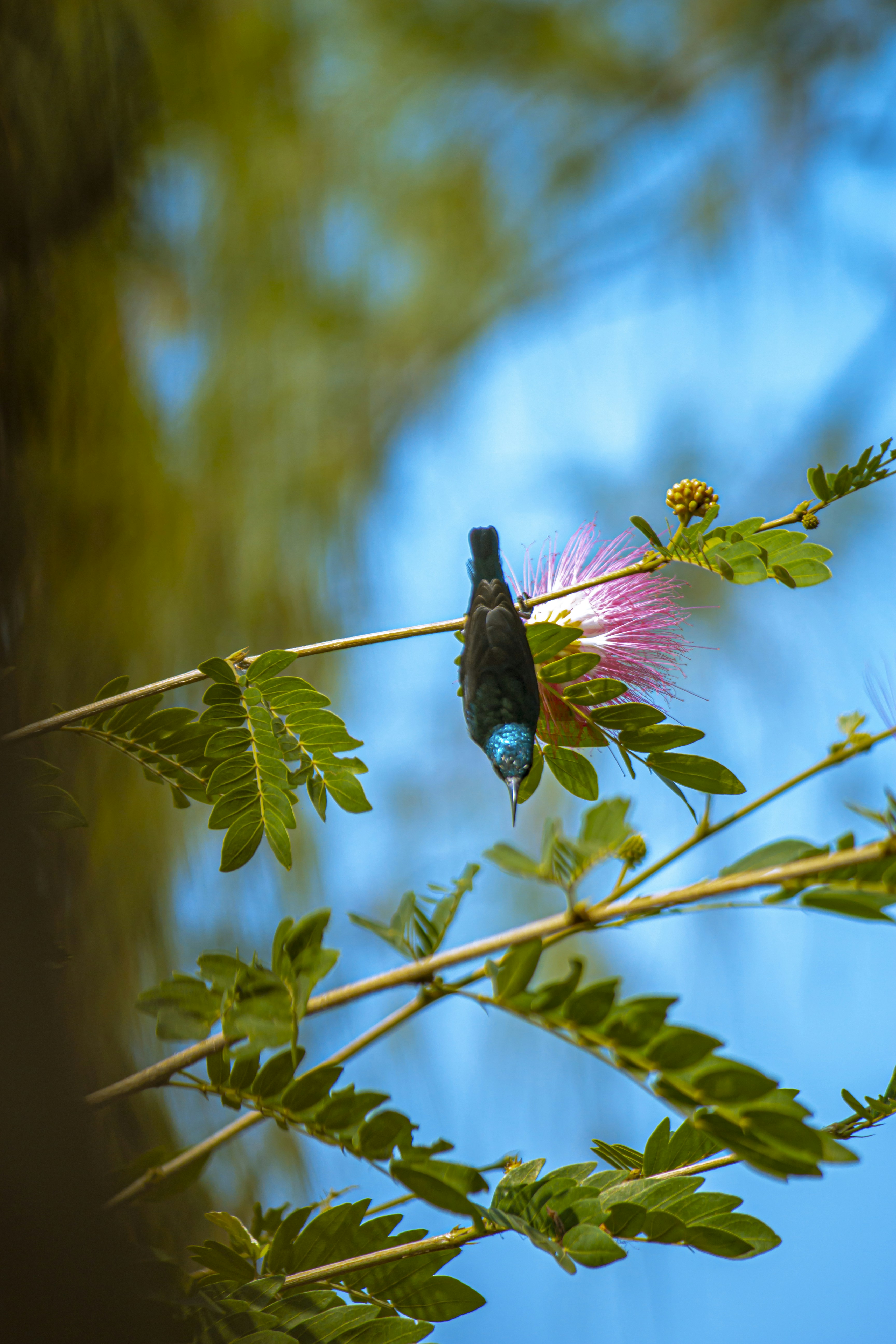 Photo by myclickzzzz