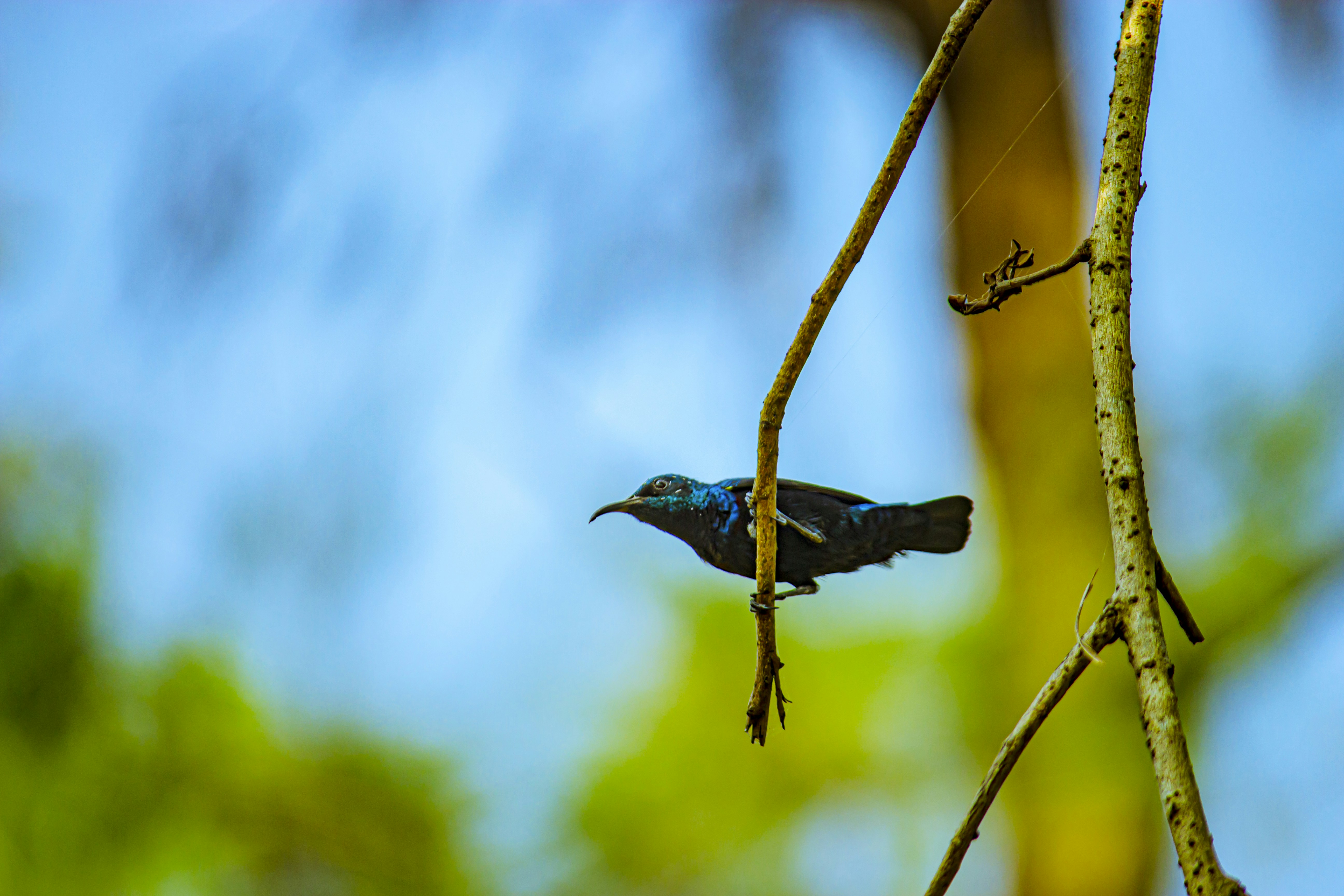 Photo by myclickzzzz