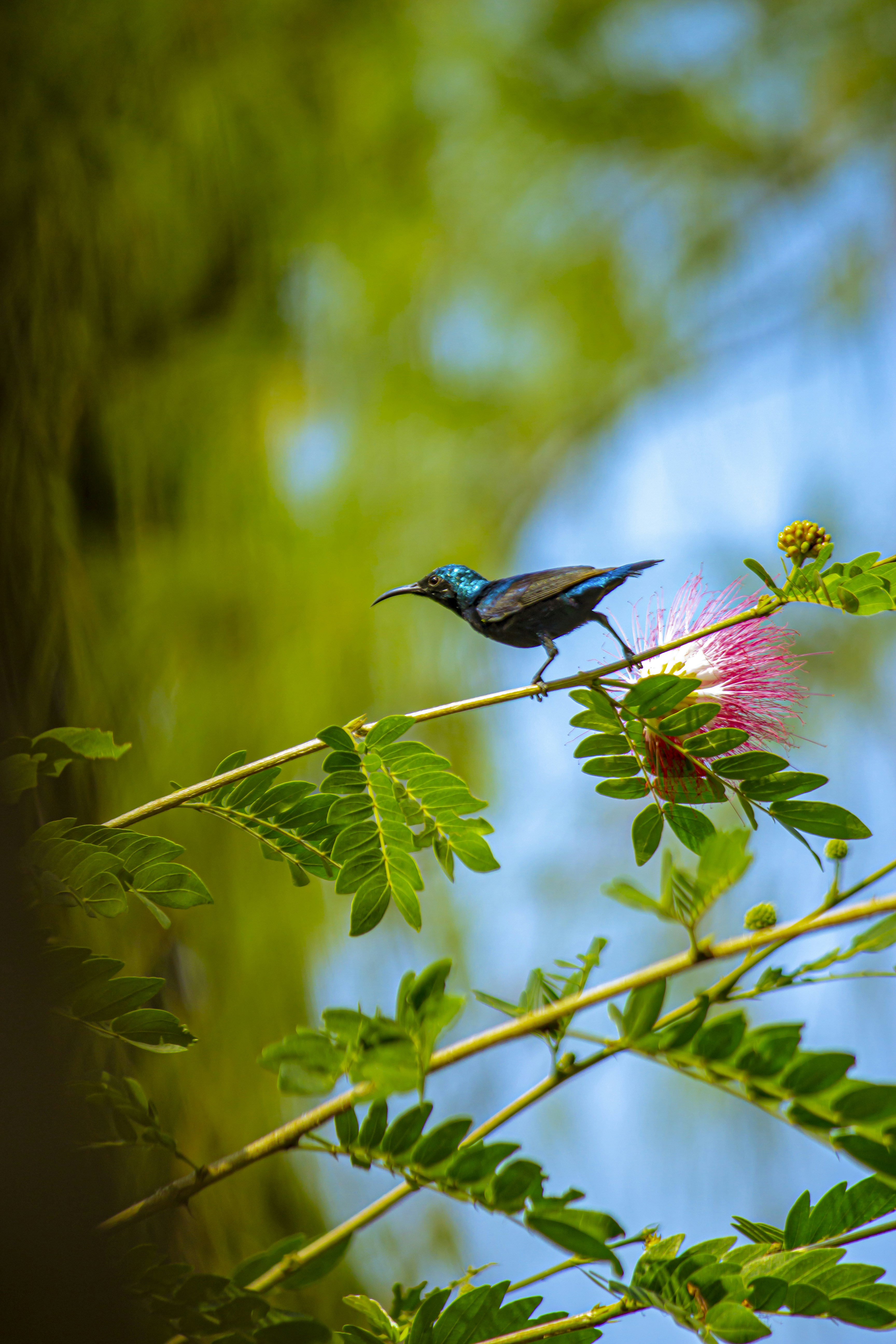 Photo by myclickzzzz