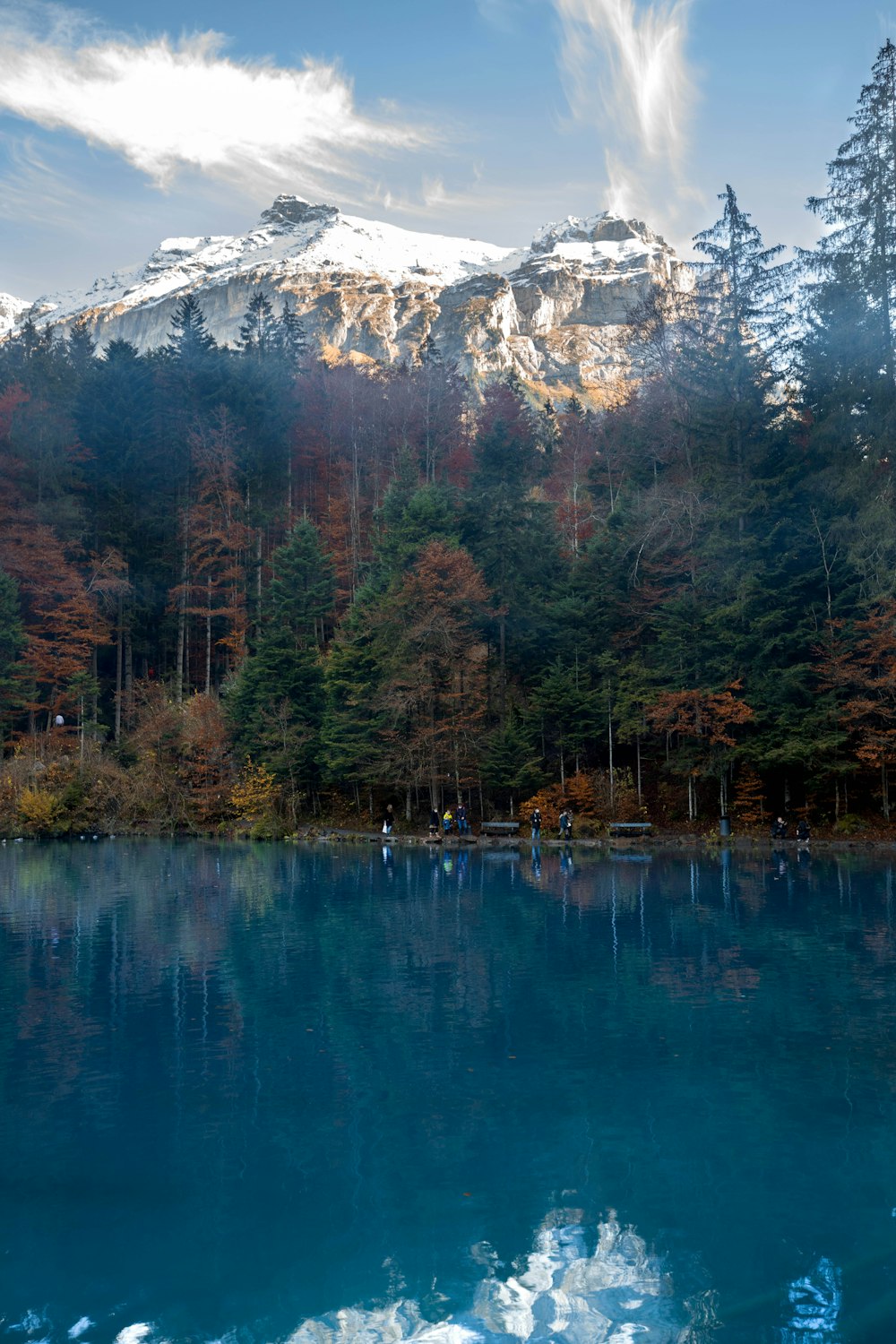 green trees near lake and mountain