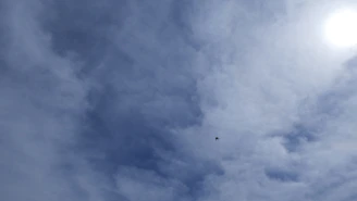 A bright, minimal illustration of a cloud gently lifting a website screen into a clear blue sky.