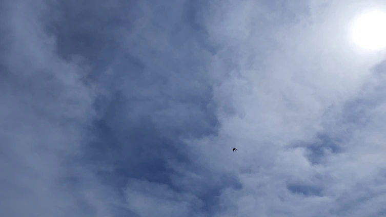 A bright, minimal illustration of a cloud gently lifting a website screen into a clear blue sky.
