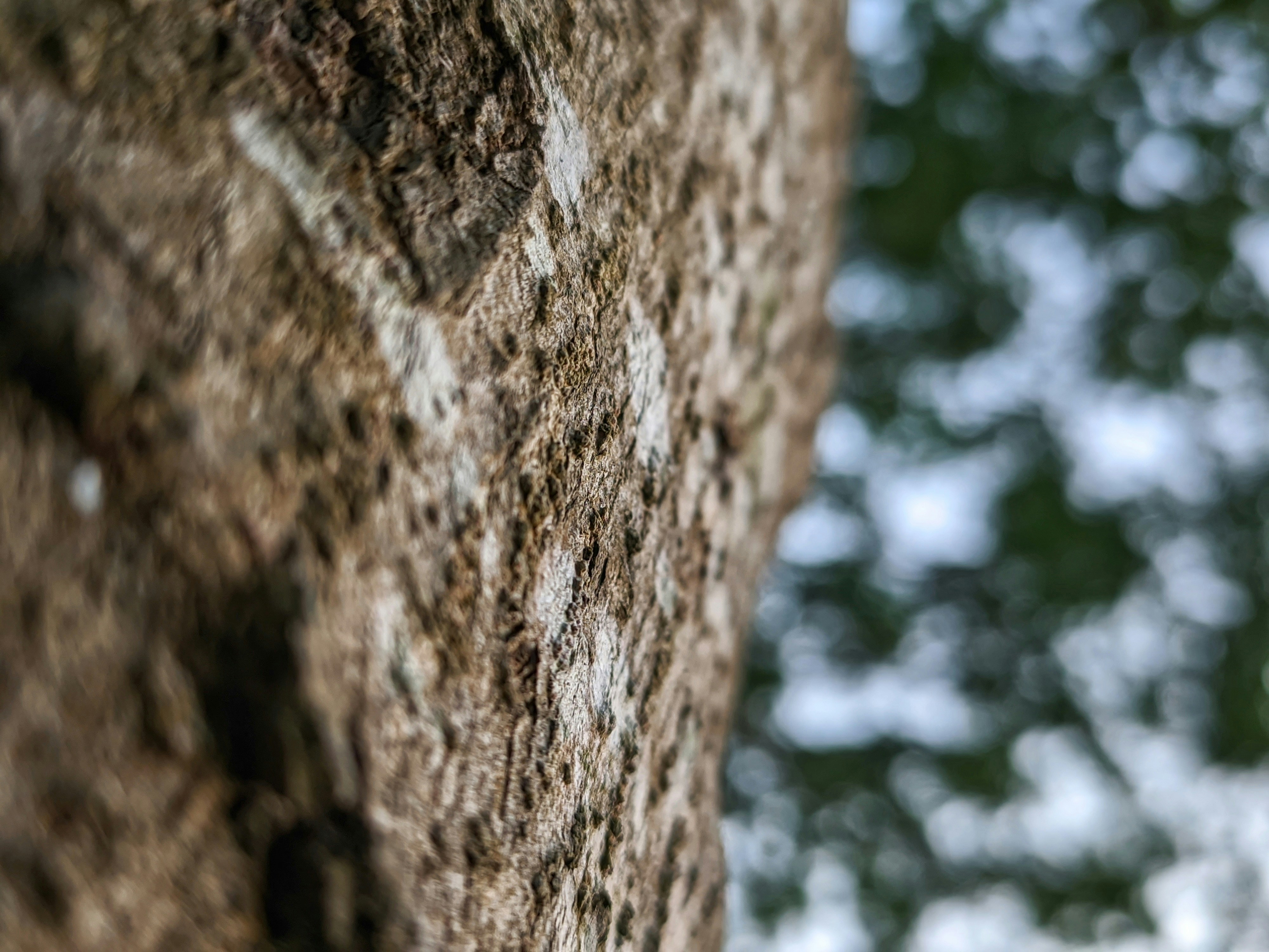 Photo by jasperamethyst