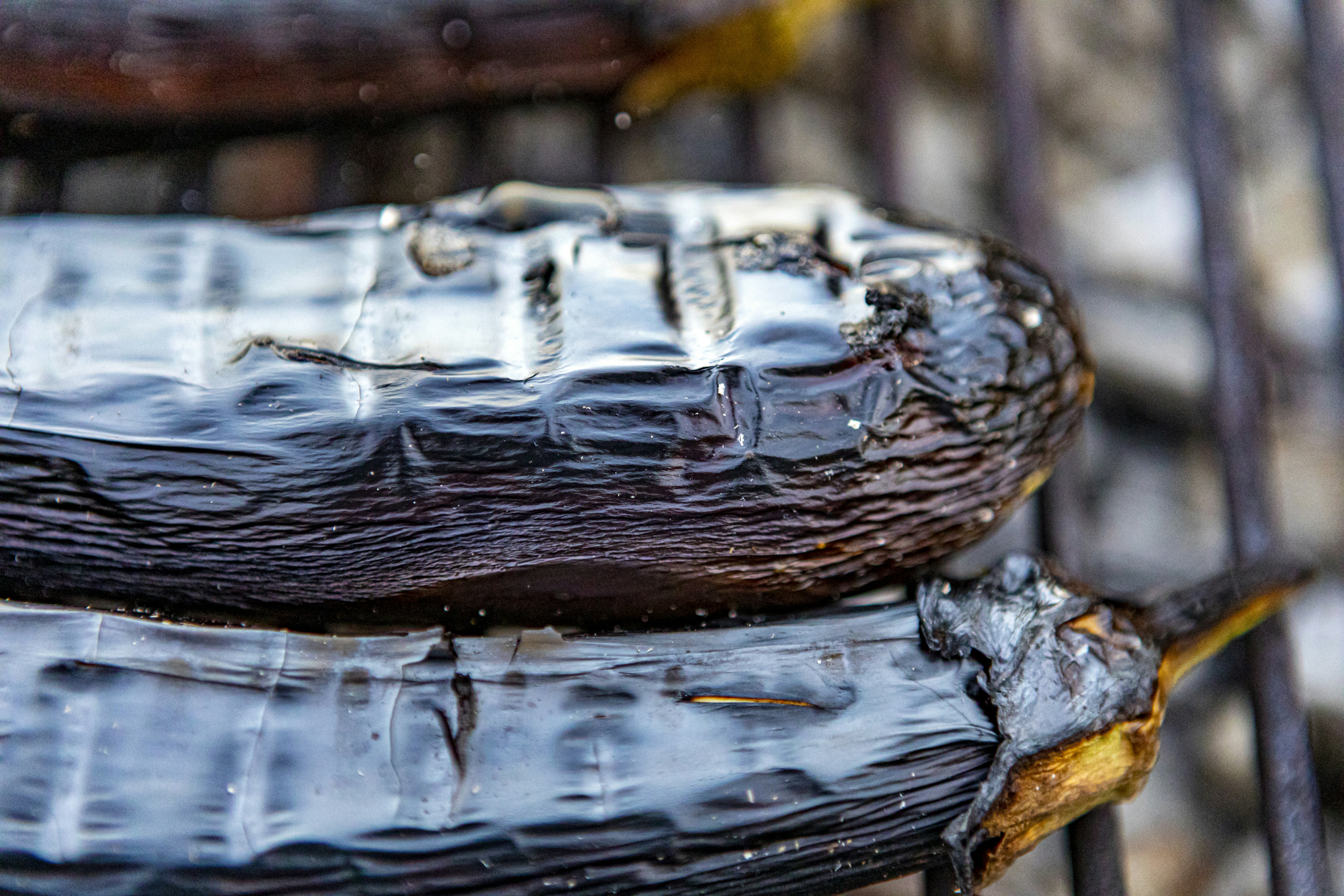 water drop on black and yellow leaf