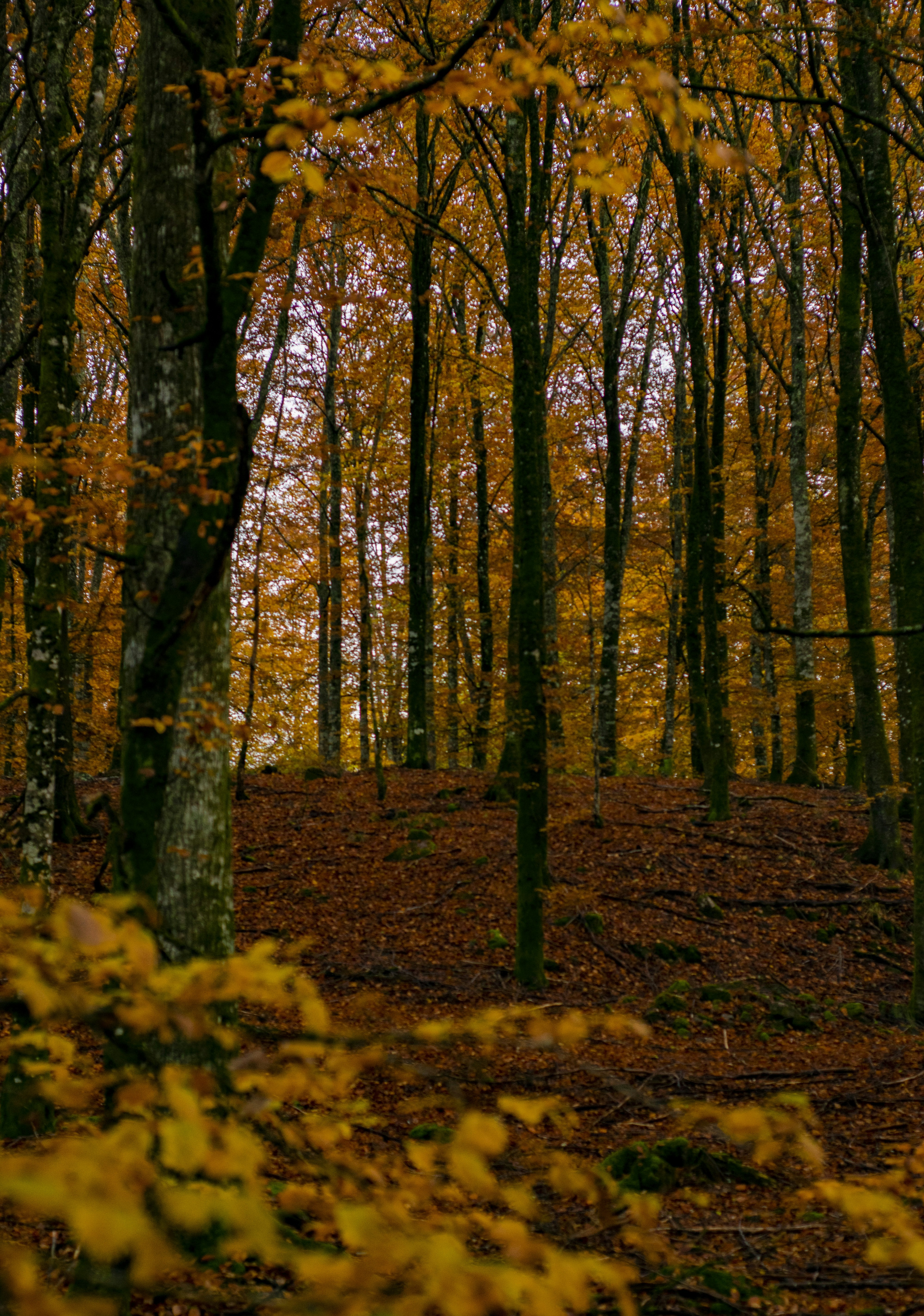 Photo by paulinakolev