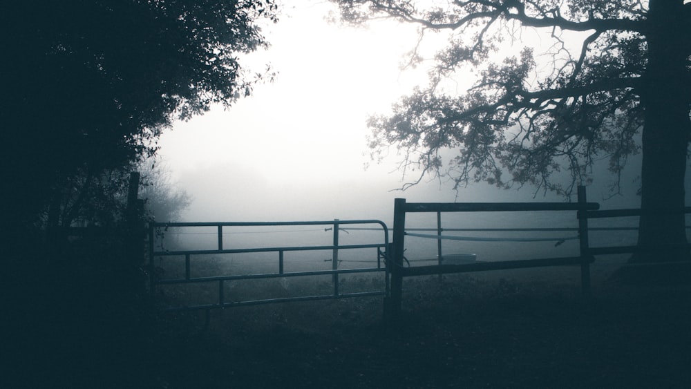 black wooden fence near trees during daytime