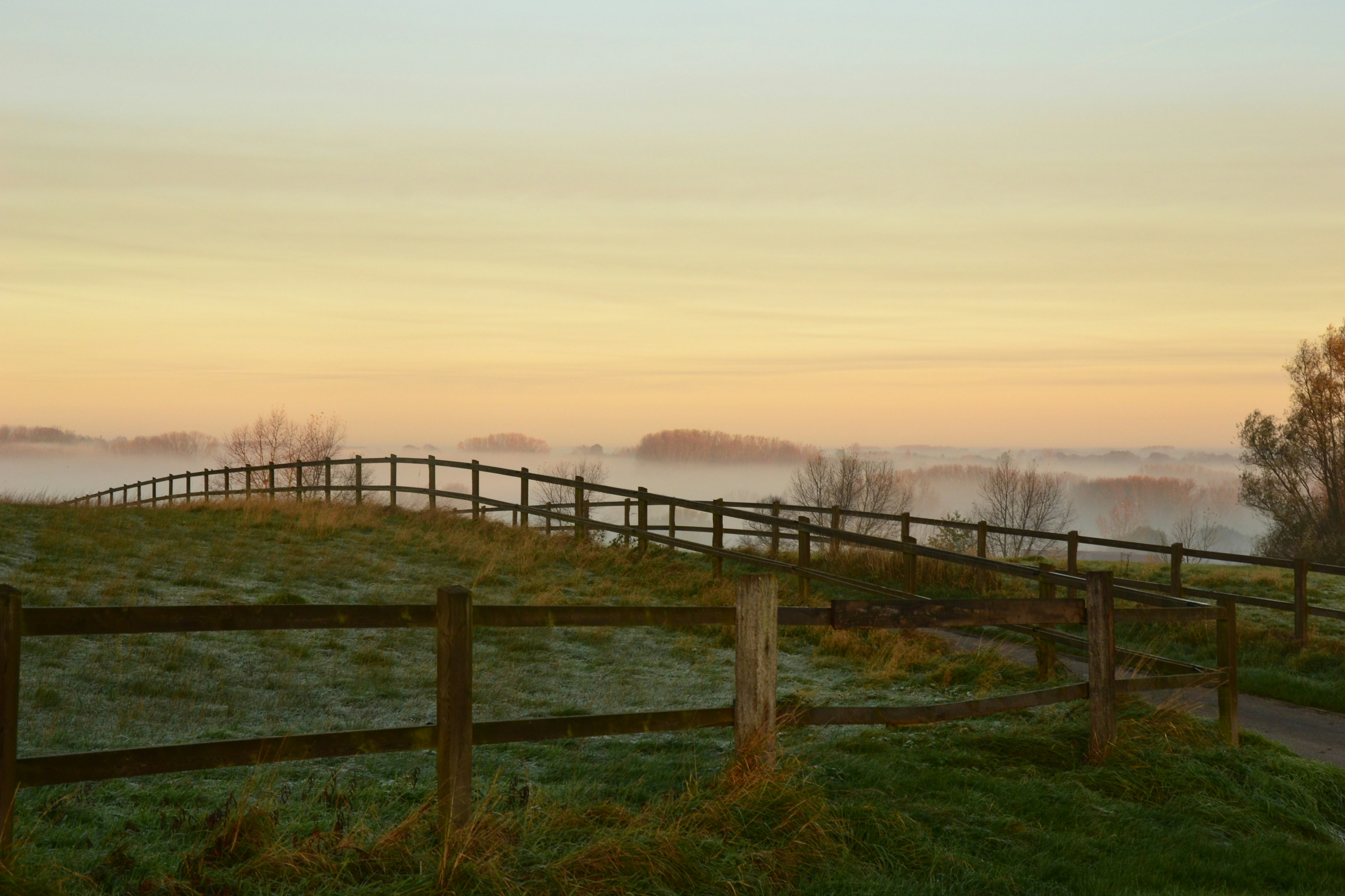 brown wooden fence on green grass field during sunset