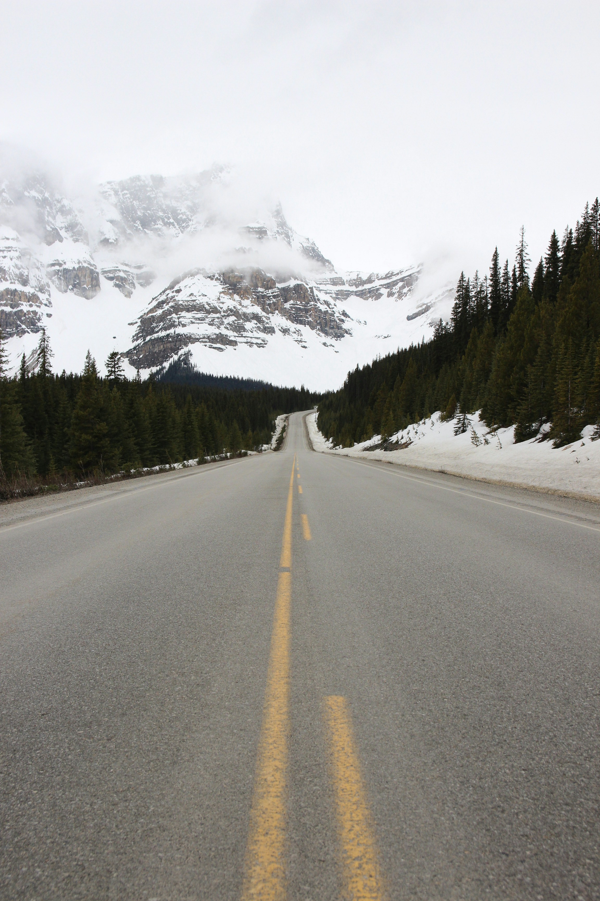 gray-concrete-road-between-green-trees