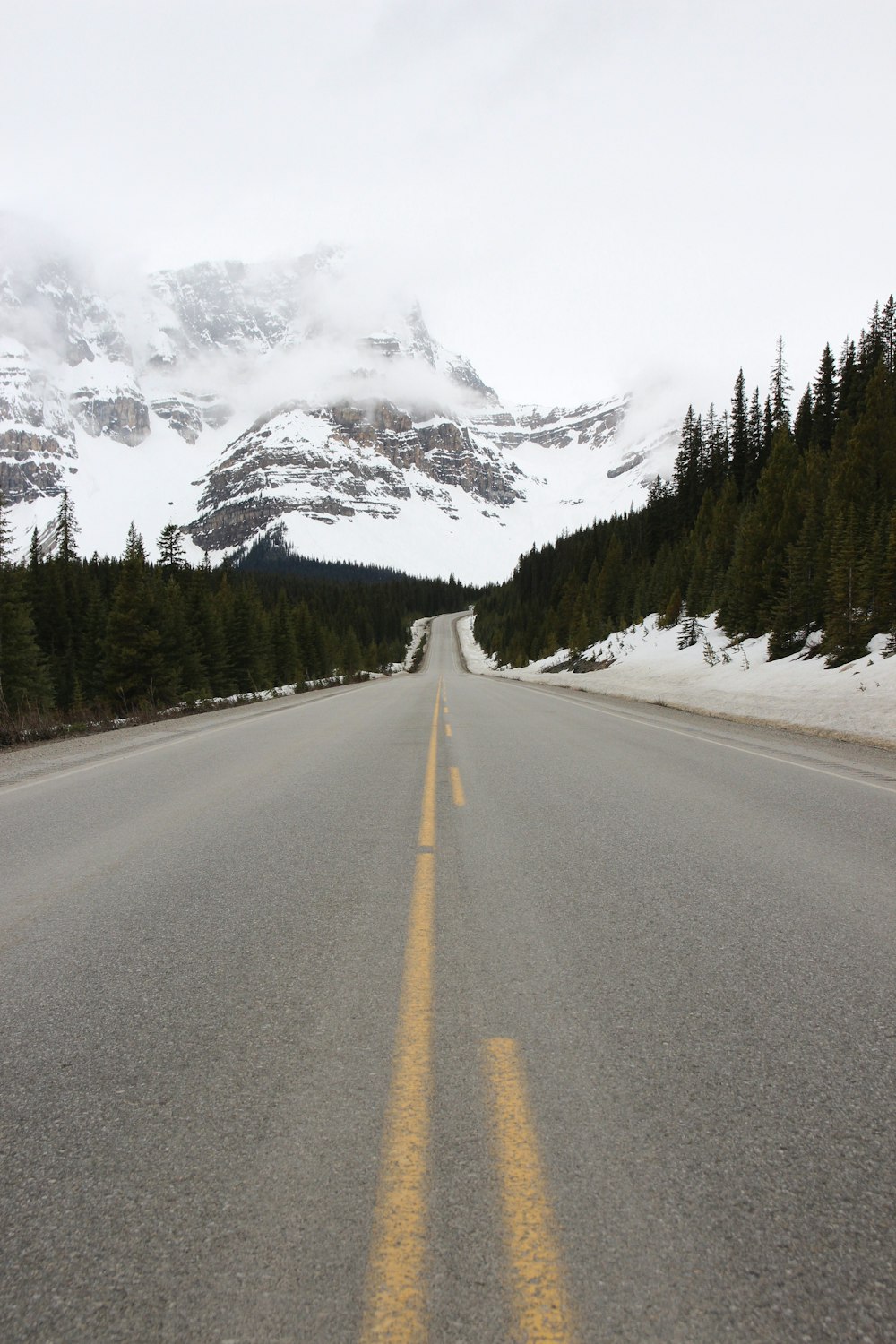 gray concrete road between green trees