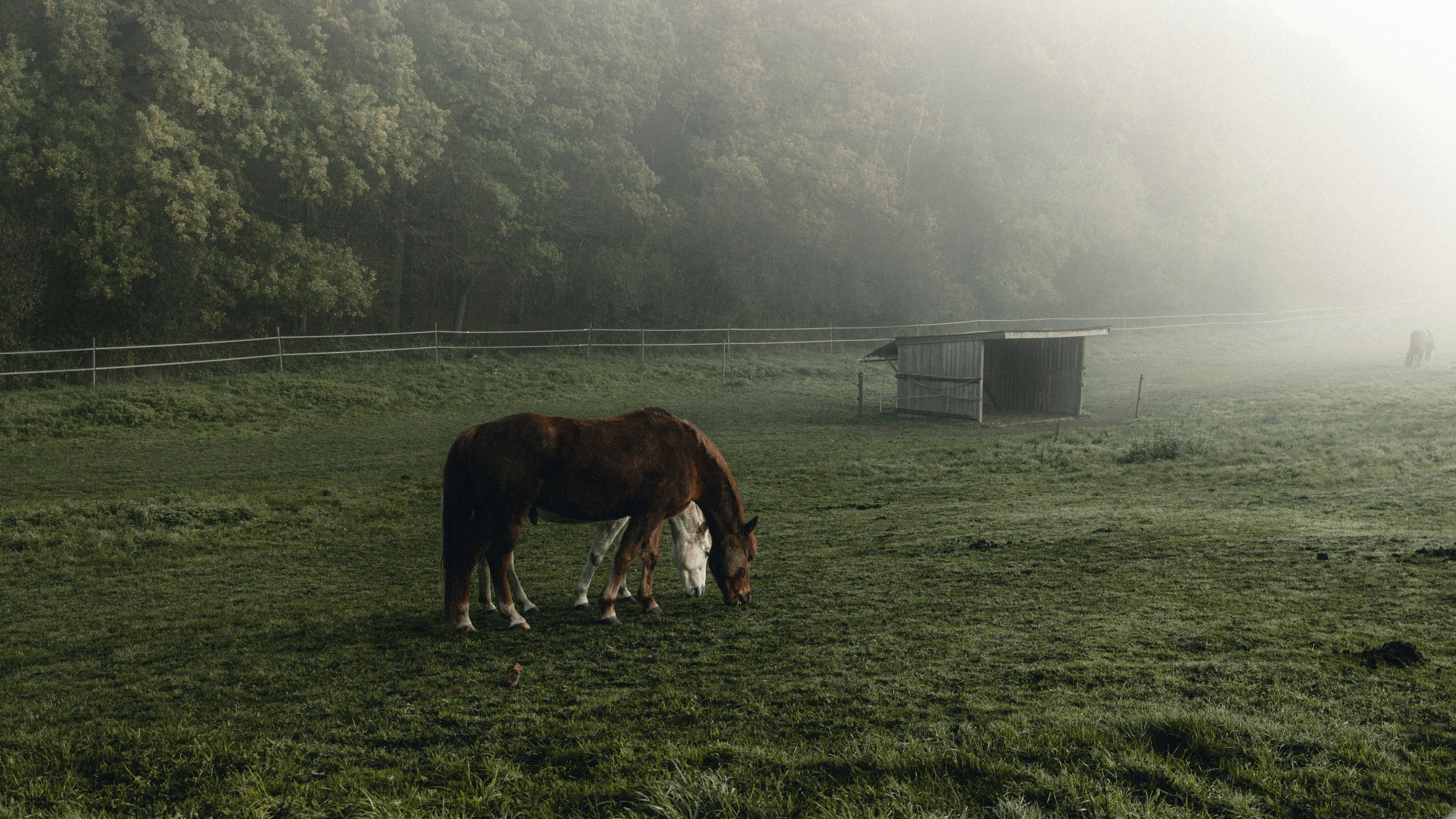 Photo by matreding
