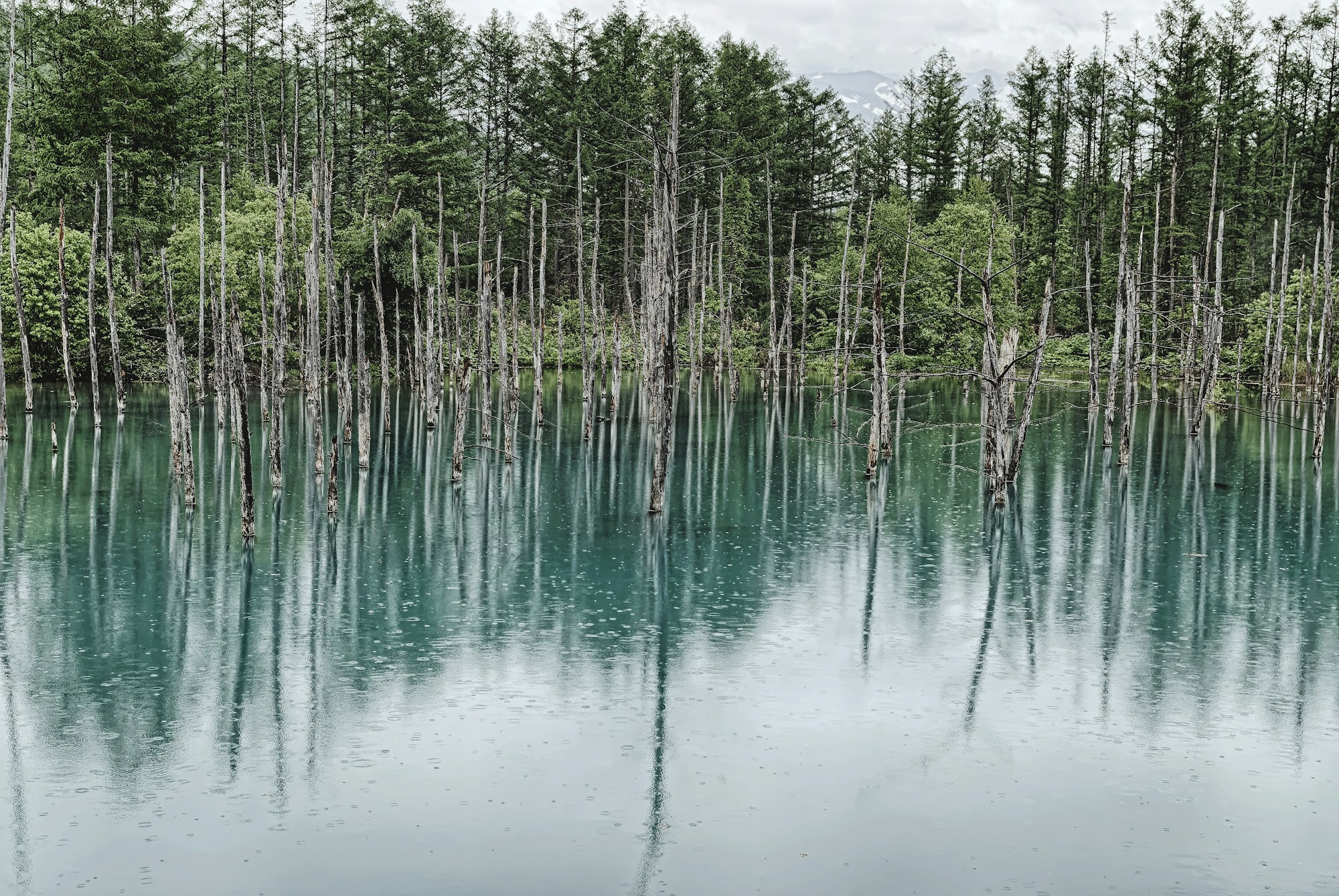 What to See in Furano: Travel Guide