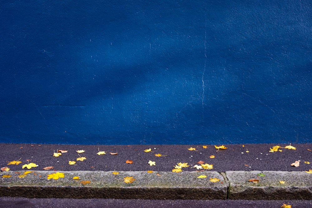 gray concrete road with yellow and white paint