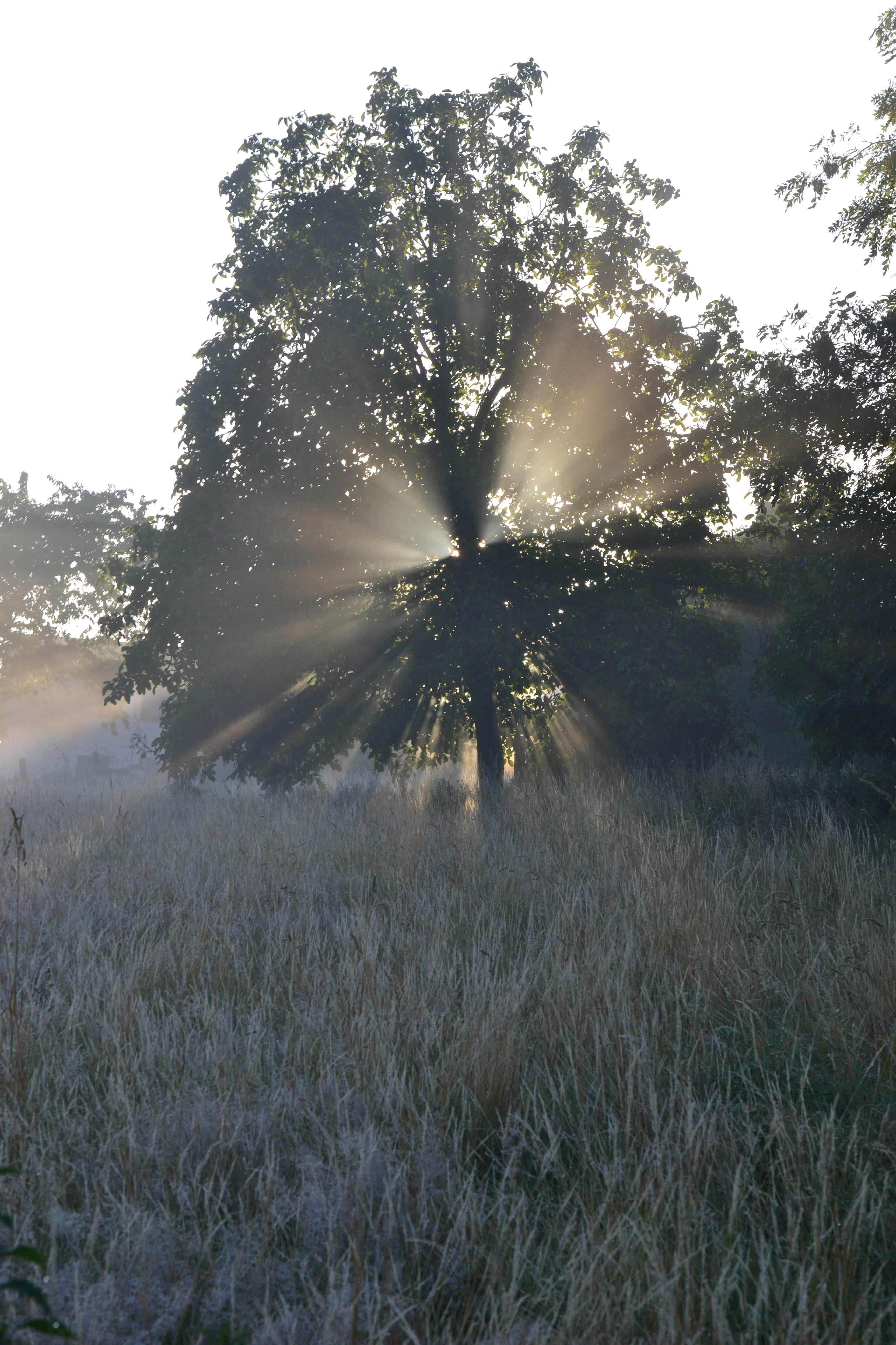 Photo by karendhondt