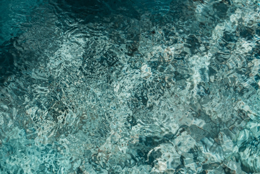 blue body of water during daytime