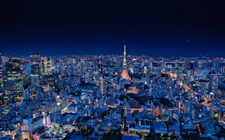 aerial view of city buildings during night time